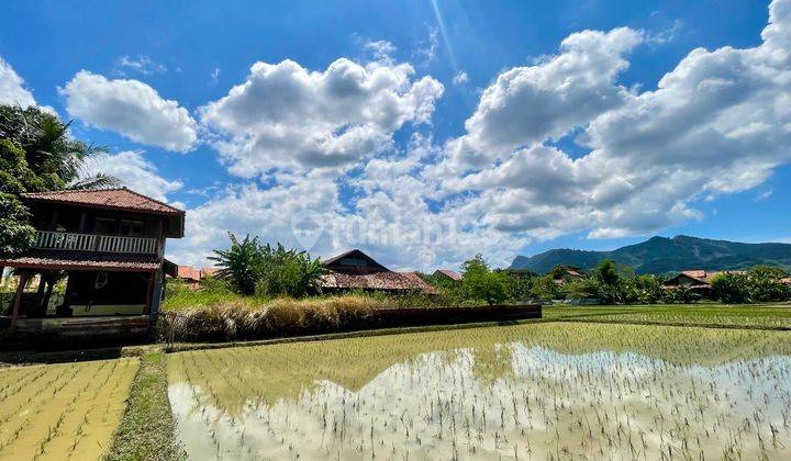 Jual Tanah + Rumah Kontrakan + Saung + Sawah + Kolam Ikan di Tegalwaru Purwakarta 2