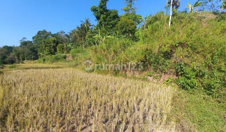 Jual Tanah Darat Dan Sawah Pemandangan Bagus di Sumedang Selatan 2