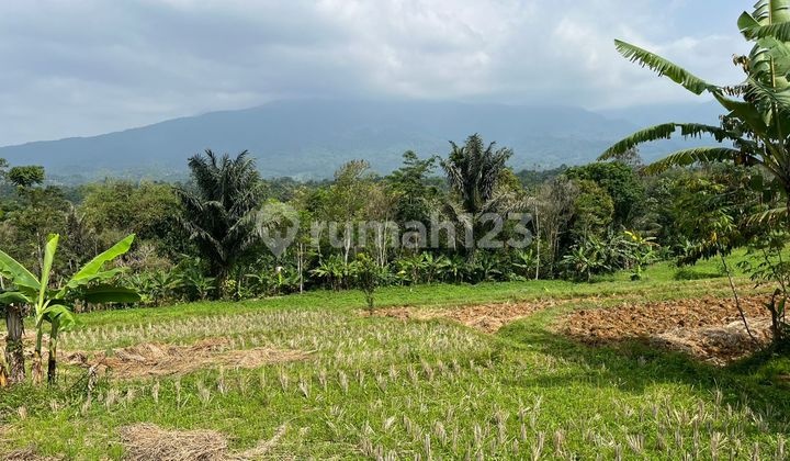 Dijual Tanah Sawah 6462 m2 Pemandangan Bagus di Bojong Purwakarta Dijual Tanah Sawah 6462 m2 Pemandangan Bagus di Bojong Purwakarta
