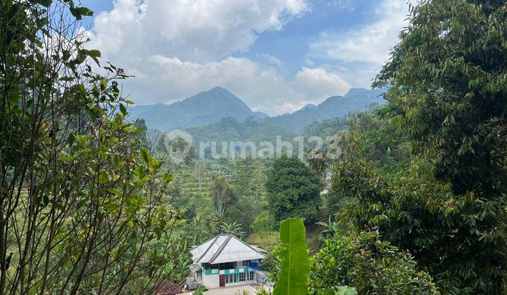 Jual Tanah Kebun Cengkeh + Manggis di Dataran Tinggi Bojong Purwakarta Jual Tanah Kebun Cengkeh + Manggis di Dataran Tinggi Bojong Purwakarta
