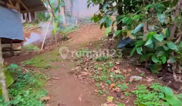 Dijual Murah Sawah Produktif di Pedesaan Free Biaya Balik Nama SHM