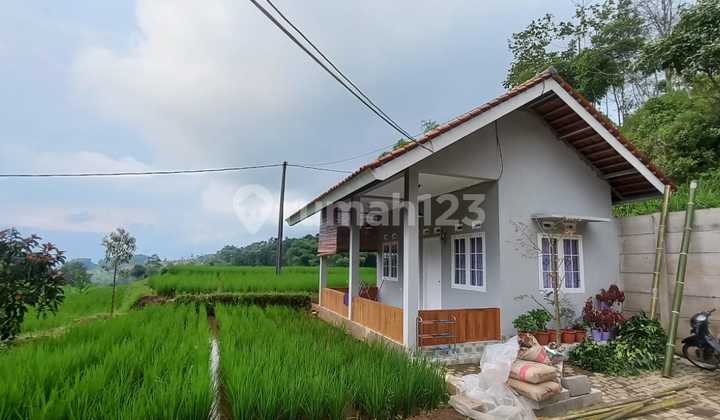 For Sale Cheap Villa House + Fish Pond + Rice Field + Durian Trees in Sumedang