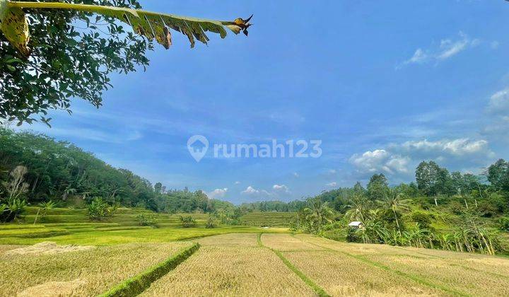 Tanah Kebun Nangka Dijual di Daerah Dingin Bojong Purwakarta 2