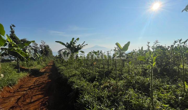 Dijual Tanah Bisa Perluasan Pemandangan Bagus Udara Dingin di Sumedang Selatan 2