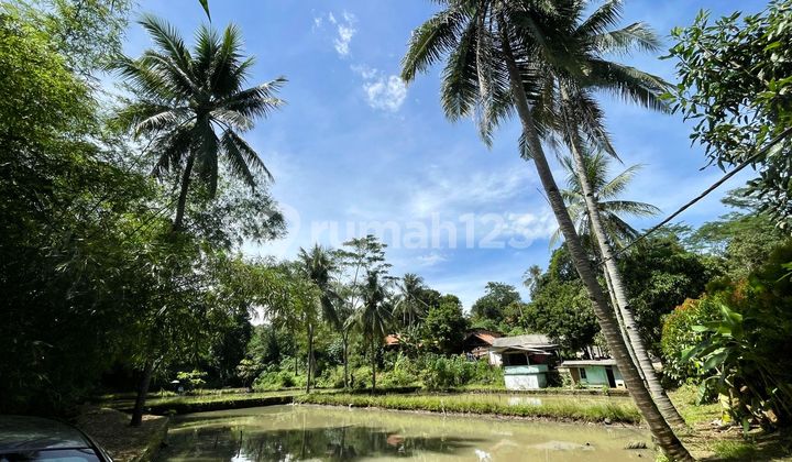 Tanah + Kolam Ikan Pinggir Jalan di Pasawahan Purwakarta Dijual Murah
