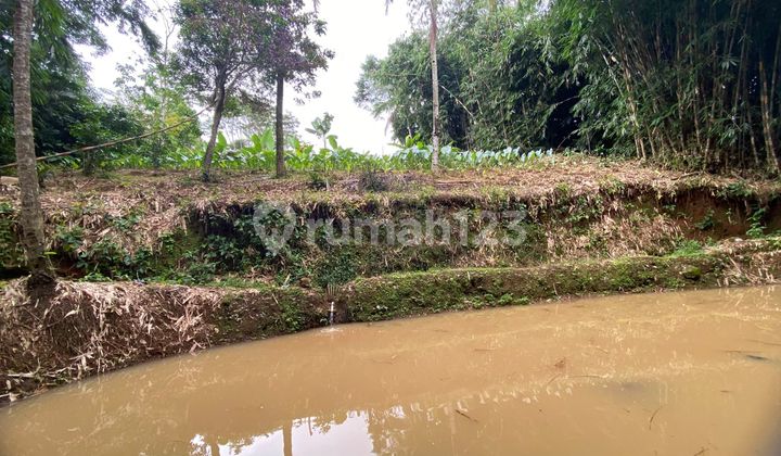 Dijual Tanah Kebun + Kios + Kolam ikan Pinggir Jalan Pedesaan Bojong Purwakarta