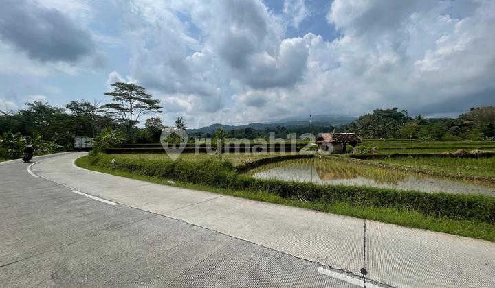 For Sale Cheap Paddy Field Land by Main Road in Tanjungkerta Sumedang For Sale Cheap Paddy Field Land by Main Road in Tanjungkerta Sumedang