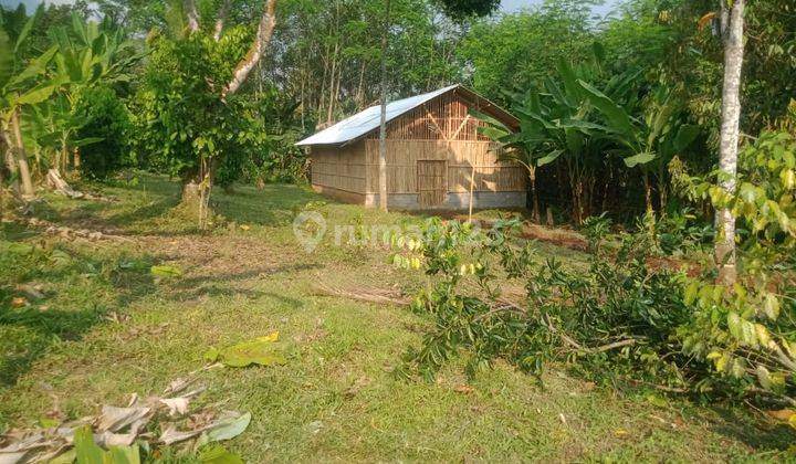 Jual Murah Kandang Peternakan Ayam + Rumah Saung di Cipeundeuy Bandung Barat 2