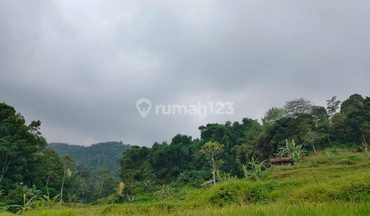 Dijual Murah Tanah Sawah 1433 M2 Pinggir Sungai Kecil di Bojong Purwakarta 1