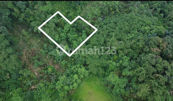 Tanah Murah Kebun Produktif di Desa Sukamanah Bojong Purwakarta