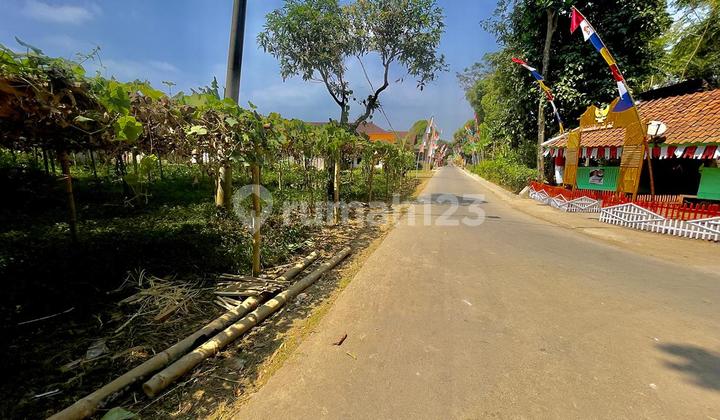 Jual Tanah Kebun Akses Mobil Pinggir Jalan di Darangdan Purwakarta Jual Tanah Kebun Akses Mobil Pinggir Jalan di Darangdan Purwakarta