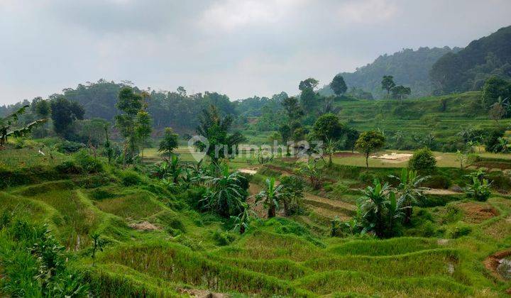 Dijual Murah Tanah Sawah 1433 M2 Pinggir Sungai Kecil di Bojong Purwakarta 2