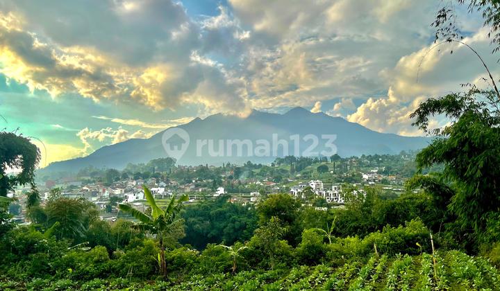 Tanah Pemandangan Bagus Udara Dingin Diatas 1000 mdpl di Cisarua Bandung Barat