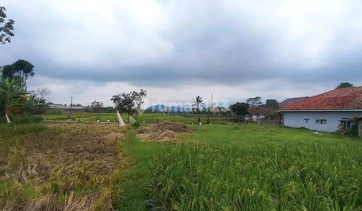 Jual Tanah Sawah Pinggir Jalan di Dekat Tol Sumedang Kota 2