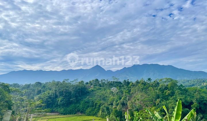 Dijual Tanah Ladang + Kebun Manggis Pemandangan Bagus di Bojong Purwakarta