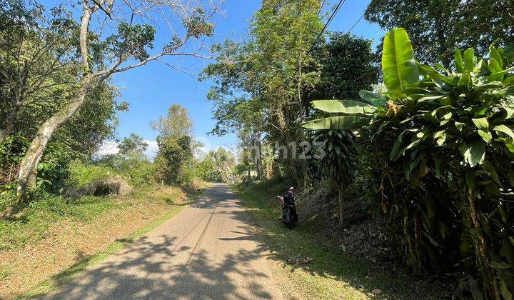 Jual Tanah Kebun 2 Menit Ke Gerbang Tol Darangdan Purwakarta  2