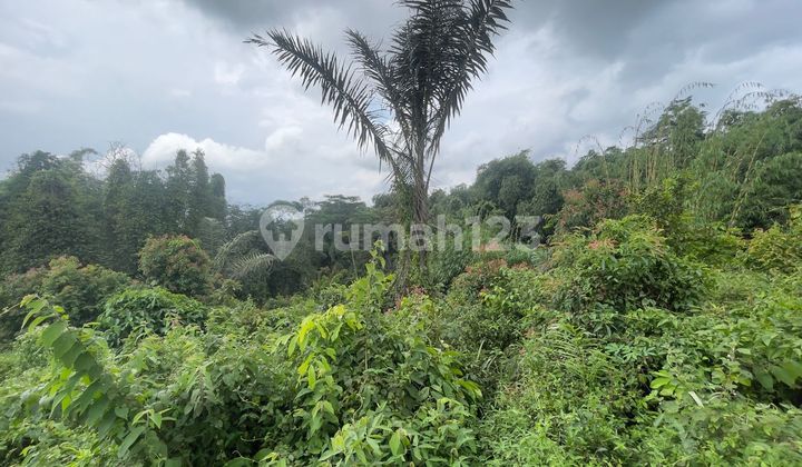 Dijual Murah Tanah 1021 m2 Dekat ke Gerbang Tol Darangdan Purwakarta