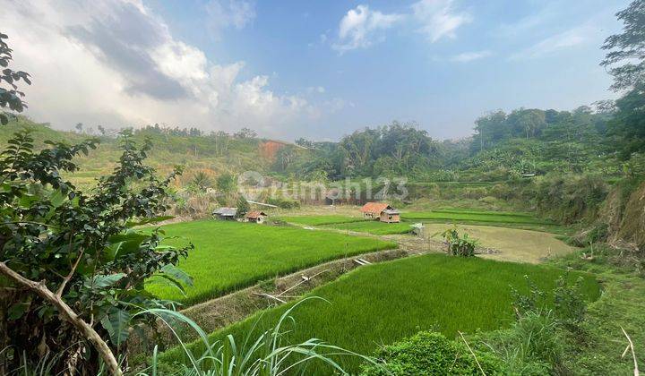 Dijual Tanah Dan Sawah 1,5 Ha Ada Kolam Ikan di Bojong Purwakarta 1