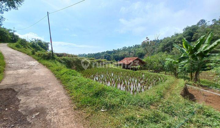 Jual Murah Tanah Sawah + Kolam Ikan 2167 M2 di Daerah Dingin Sumedang  1