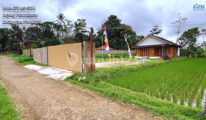 For Sale: Villa House with Rice Field View and Car Access in Bojong, Purwakarta For Sale: Villa House with Rice Field View and Car Access in Bojong, Purwakarta