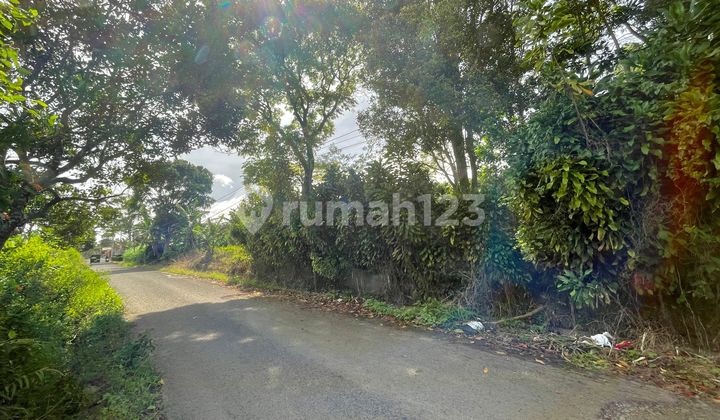 Tanah Kebun Banyak Pohon Besar Dekat Sarana Umum di Bojong Purwakarta