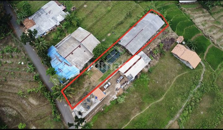 Jual Tanah dan Bangunan Budidaya Ikan Lele Pinggir Jalan Pondoksalam Purwakarta Jual Tanah dan Bangunan Budidaya Ikan Lele Pinggir Jalan Pondoksalam Purwakarta