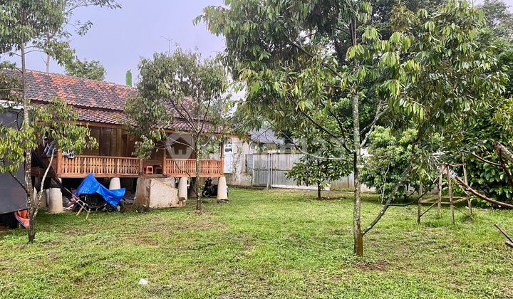 Jual Rumah Villa dan Kebun Durian + Manggis 1051 m2 Purwakarta Jual Rumah Villa dan Kebun Durian + Manggis 1051 m2 Purwakarta