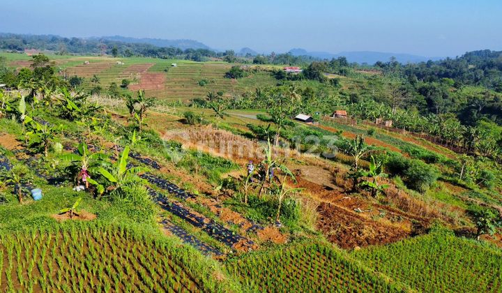 Dijual Tanah Pemandangan Bagus Udara Sejuk di Bojong Purwakarta