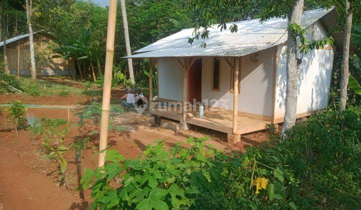 Jual Murah Kandang Peternakan Ayam + Rumah Saung di Cipeundeuy Bandung Barat 1