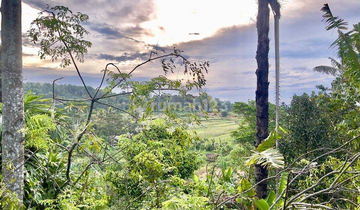 Jual Tanah Sebelah Villa Pinggir Jalan View Pesawahan Wanayasa Purwakarta 2