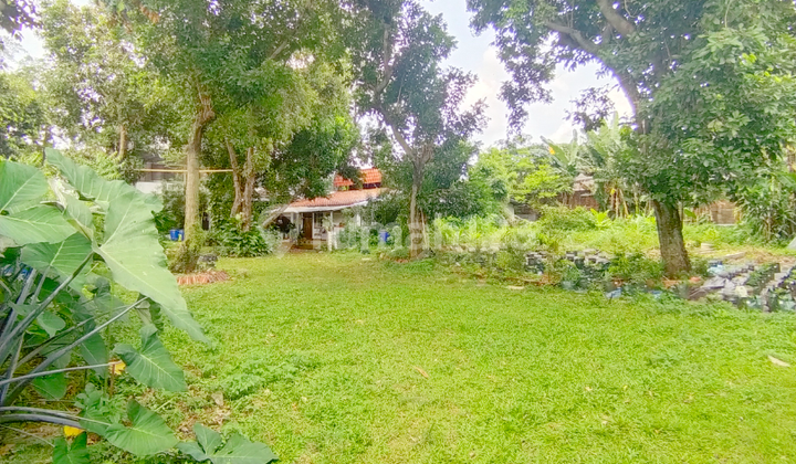 Dijual Tanah Beserta Bangunan Di Jalan Utama Kebagusan Pasar Minggu Jakarta Selatan Dijual Tanah Beserta Bangunan Di Jalan Utama Kebagusan Pasar Minggu Jakarta Selatan