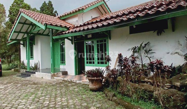 Dijual Villa Harga Menarik Di Cisarua Bogor Jawa Barat 1