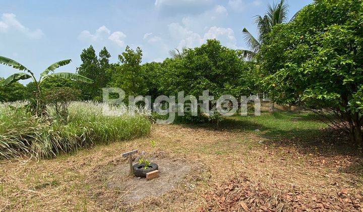 TANAH LOKASI BAGUS, PALEMBANG SUMATERA SELATAN 2