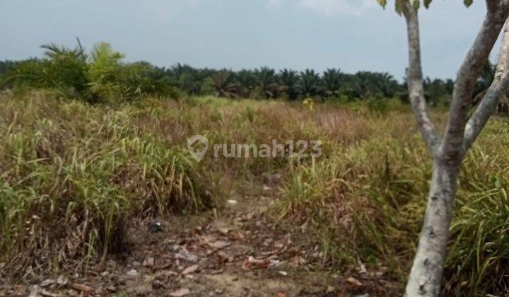 Dijual Tanah di Kepulauan Bangka, Limbang Jaya 2