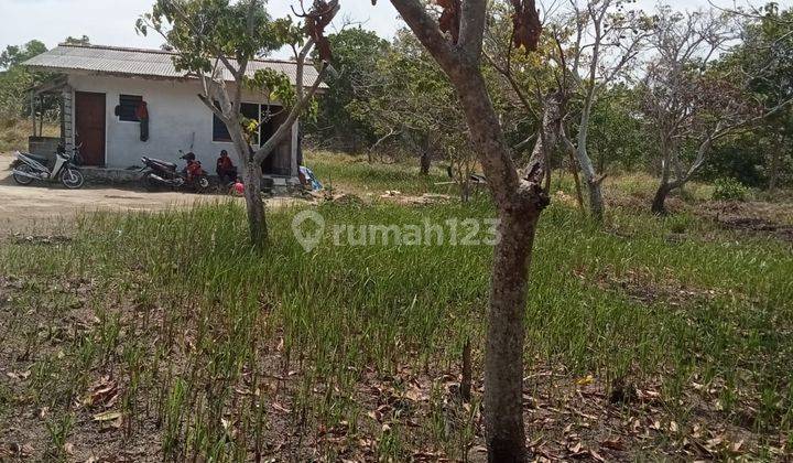 Dijual Tanah di Kepulauan Bangka, Limbang Jaya 2