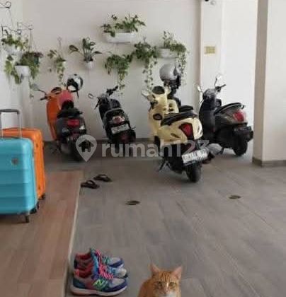 Dijual Cepat Kost Ekslusive Mulawarman Tembalang Semarang 2