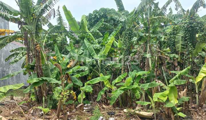 Tanah Murah Siap Bangun Taman Tlogomulyo Pedurungan Semarang 2