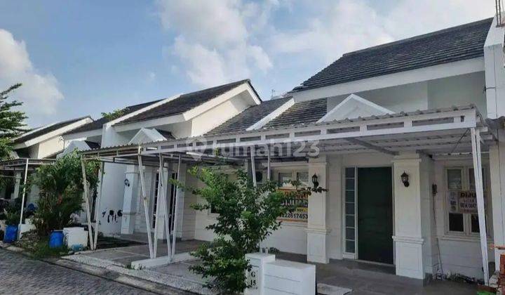 Di Jual Rumah Cluster Dekat Kampus Unimus Kedungmundu Semarang 1