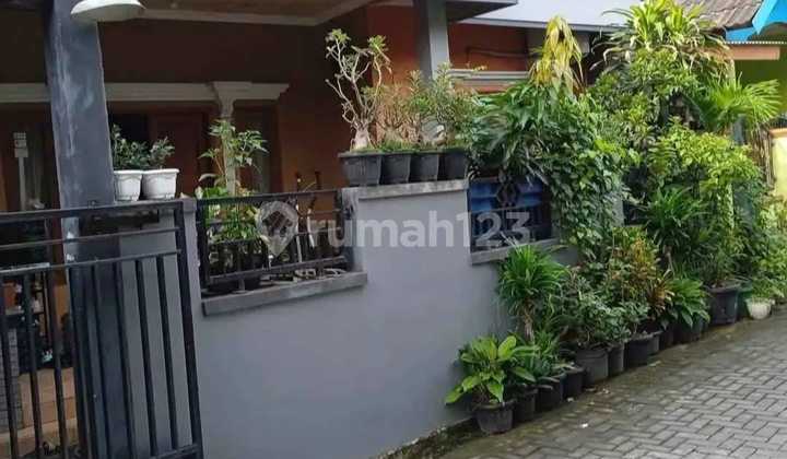 For Quick Sale Menoreh Sampangan Semarang House 2
