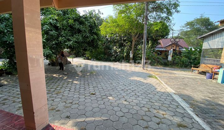 Disewakan Rumah Bagus Tlogomulyo Raya Pedurungan Semarang 2