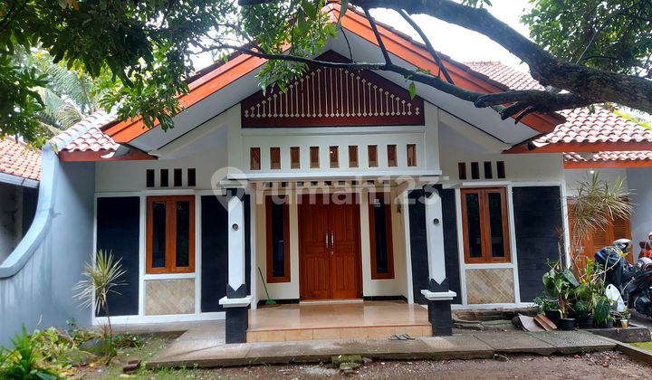 Dijual Cepat Rumah Tengah Kota Purworejo Jawa Tengah Dijual Cepat Rumah Tengah Kota Purworejo Jawa Tengah