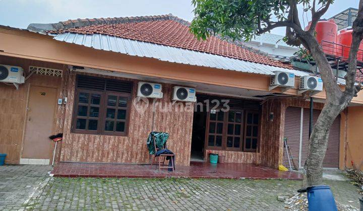 Di Jual Cepat Bu Kost Aktif Lamper Semarang Kota 1