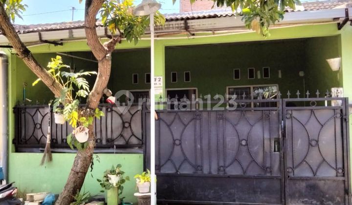 Rented Out Nice House Plamongan Sari Pedurungan Semarang 1