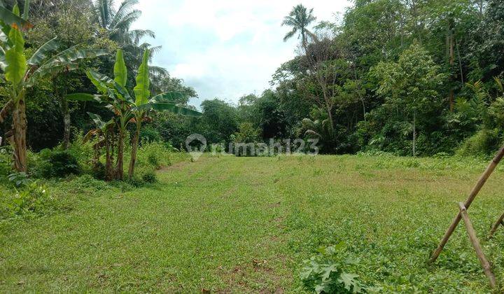 Di Jual Kavling Sawah Hanya 100 Jutaan Di Mungkid, Magelang 1
