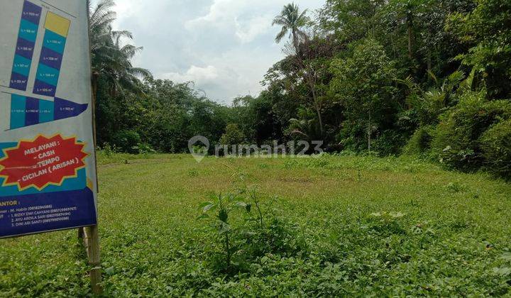 Di Jual Kavling Sawah Hanya 100 Jutaan Di Mungkid, Magelang 4