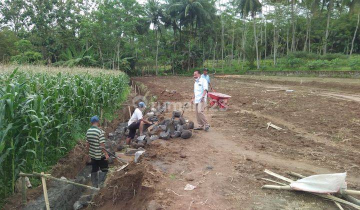 Di Jual Kavling Sawah Hanya 100 Jutaan Di Mungkid, Magelang 8
