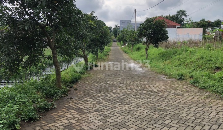 Dijual Rumah Murah Malang Kota Lowokwaru 6