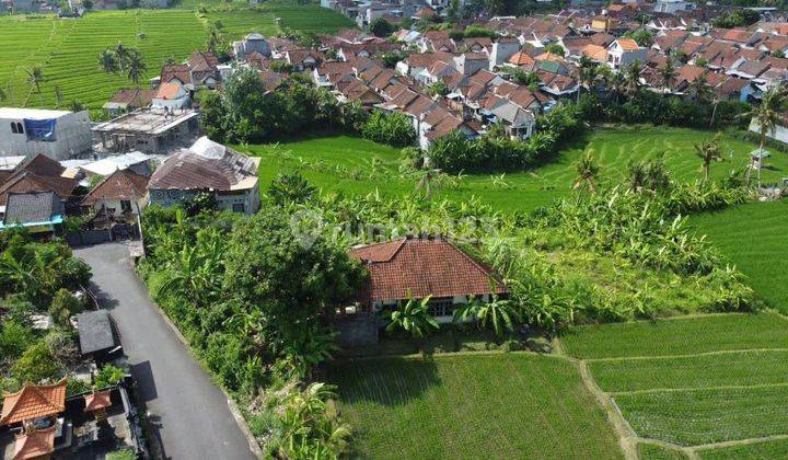 Dijual Tanah Zona Kuning 11 Are Canggu Bali Contact +62 81977403529 1