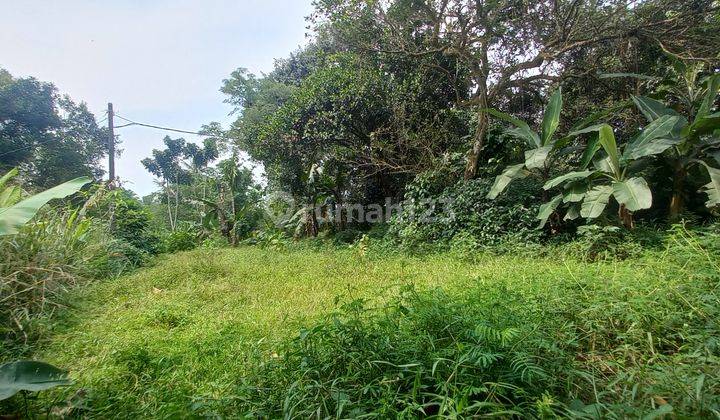 Di jual Tanah  kebung di Rancabungur 5485 m² 3