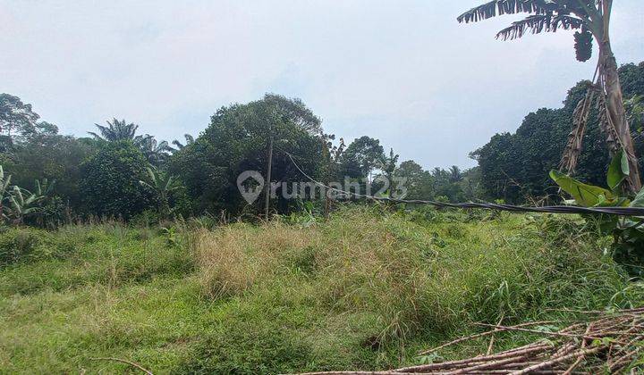 Di jual Tanah  kebung di Rancabungur 5485 m² 8